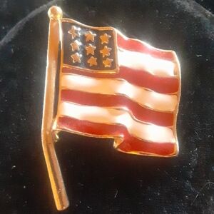 American Flag Pin with Gold Tone Accents